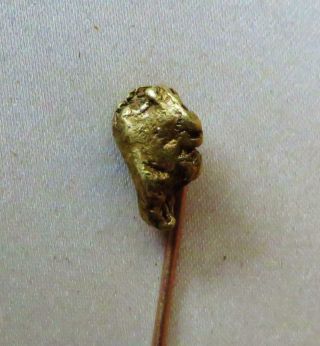 3.  5 Gram Gold Nugget Stickpin From Hughes River,  Virginia,  Ex: Mendel Peterson 4