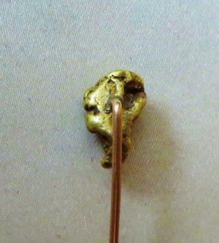 3.  5 Gram Gold Nugget Stickpin From Hughes River,  Virginia,  Ex: Mendel Peterson 5