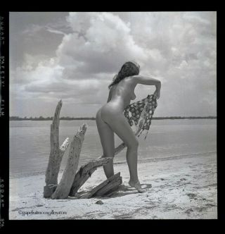 Bettie Page 1954 Camera Negative Photograph Bunny Yeager Body Nude NR 2