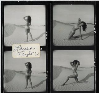 Bunny Yeager 1960s Photograph Nudes In Texas Series Laura Taylor Contact Sheet 3