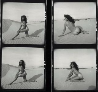 Bunny Yeager 1960s Photograph Nudes In Texas Series Laura Taylor Contact Sheet 4