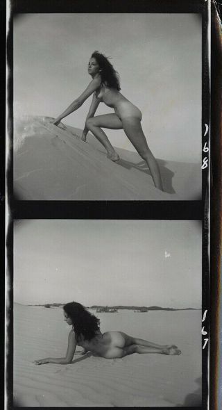 Bunny Yeager 1960s Photograph Nudes In Texas Series Laura Taylor Contact Sheet 5