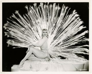 Nude Burlesque Superstar Sally Rand 1930s Vintage Pin - Up Photograph Fan Dance Nr