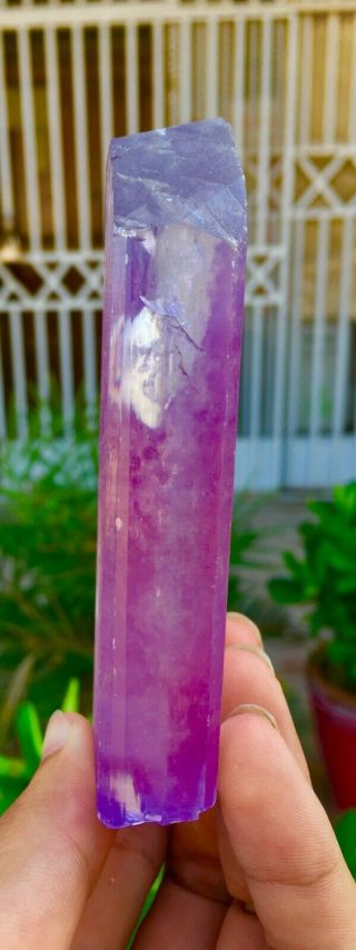 1953 C.  T Top Quality Damage Terminated Pink Color Kunzite Crystal 5