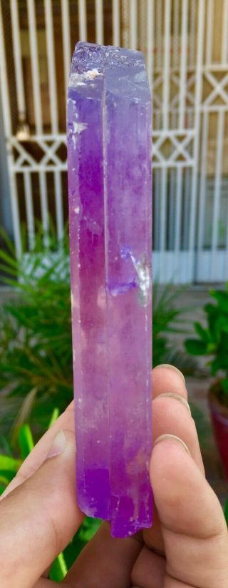 1953 C.  T Top Quality Damage Terminated Pink Color Kunzite Crystal 6