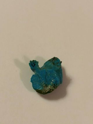 Vintage Native American Utah small turquoise frog Fetish 3