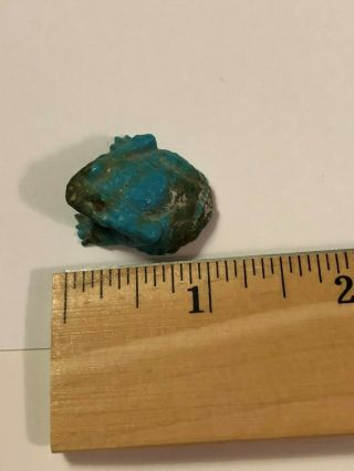 Vintage Native American Utah small turquoise frog Fetish 4