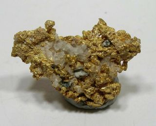 Fine 34.  2 Grain Crystal Gold & Quartz: Yuba River,  Downieville,  California - Nr