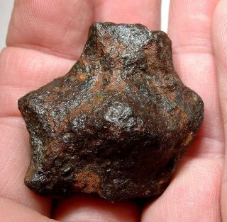 110 Gram Full Fragment Of The Mundrabilla Meteorite: Found Australia 1911 - Nr