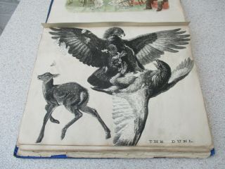 An Antique Victorian Scrap Album - Robert Hind - Whetstone Hall - 1874 - 75 - 76 - Scrapbook 2