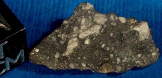 Nwa 7611 Lunar Achondrite Breccia Meteorite Slice 0.  795 Gr.  Low Tkw Of 916 Grams