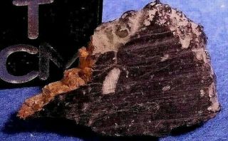Nwa 6355 Lunar Breccia Meteorite Slice 0.  38 Gr.  Apollo 16 Moon Soils Comparable