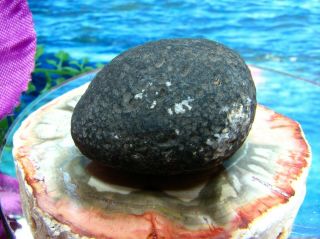 RARE SAFFORDITE Tektite/Pseudotektite Meteor Impact Stone 15.  1 Grams AAA Clarity 5