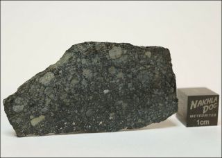 Aba Panu - L3 Meteorite Fall From Nigeria - 11.  8 Gram Slice