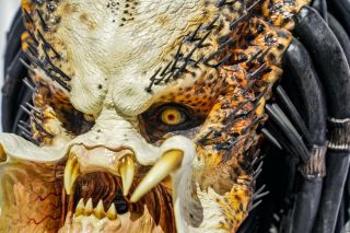 Sideshow Collectibles Life Size 1:1 scale PREDATOR BUST 3