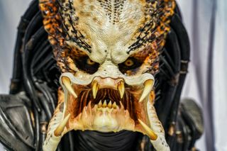 Sideshow Collectibles Life Size 1:1 scale PREDATOR BUST 4