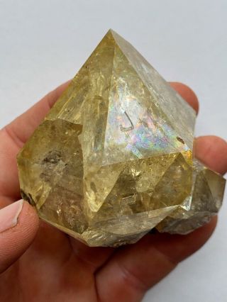 Herkimer Diamond Quartz Crystal Golden Healer - Iridescent Rainbows - Record Keepers