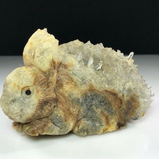 640g Natural quartz crystal cluster mineral specimens,  hand - carved rabbits 6
