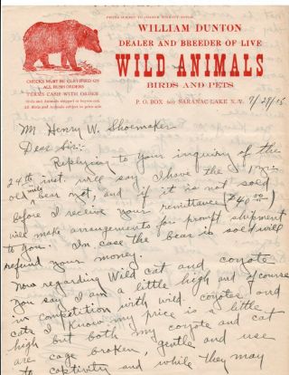 1915 Letterhead Wm.  Dunton Wild Animal Dealer Saranac Lake Bears Coyotes Zoo
