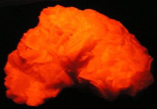 Huge Manganoan Calcite - Bright Fluorescent - 17.  6 Cm - Magma Mine,  Arizona 20610