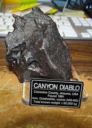 542 Gm.  Canyon Diablo Iron Meteorite ; Top Grade ; Arizona; 1.  2 Lbs; Museum Gd