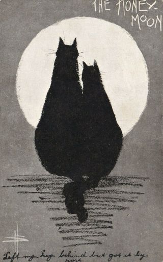 Vintage Postcard Artist D Souter " The Honey Moon " 1900s