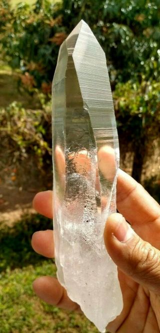 7 1/2 " Yang Akashic Lemurian Crystal Quartz From Minas Gerais Brazil