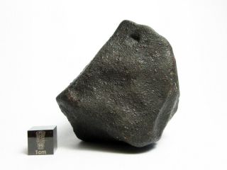 Nwa X Meteorite 265.  68g Colossal Chondrite With Character