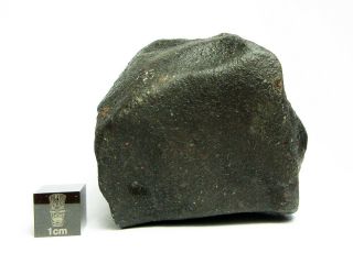 NWA x Meteorite 265.  68g Colossal Chondrite with Character 3