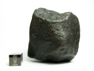 NWA x Meteorite 265.  68g Colossal Chondrite with Character 6