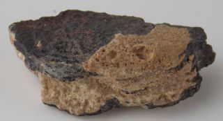 Canyon Diablo Iron Meteorite With Rare Lechatelierite - 4.  2 Cm - Arizona 22553
