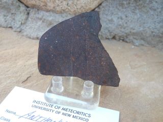 Anthony Gap,  N.  M.  meteorite.  L6 chondrite.  (C.  Agee,  UNM) 4