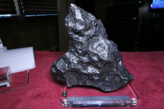 Campo del Cielo Iron Meteorite 10,  820 grams 6