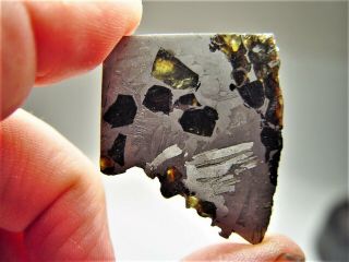 Great Deal Crystals Sensational Seymchan Pallasite Meteorite 24 Gms