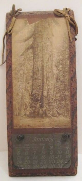 Old 1902 Redwoods Forest Advertising Calendar On Wood W/ Photo Tiny Man & Tree