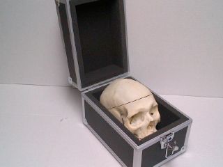 Real human skull carrying case 4
