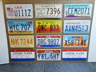 10 - Craft Mixed State License Plate 