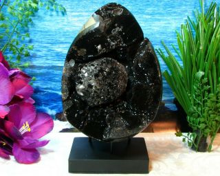 Museum Grade Huge Septarian Dragon Stone Geode Egg Aragonite & Calcite 12 Lb,