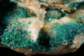 RARE Spangolite Crystal Cluster BINGHAM,  MEXICO 5