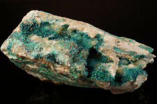 RARE Spangolite Crystal Cluster BINGHAM,  MEXICO 6