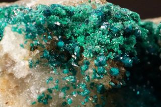 RARE Spangolite Crystal Cluster BINGHAM,  MEXICO 7