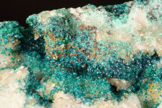 RARE Spangolite Crystal Cluster BINGHAM,  MEXICO 8