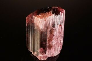 CLASSIC Rubellite Tourmaline Crystal MALKHAN,  RUSSIA 10