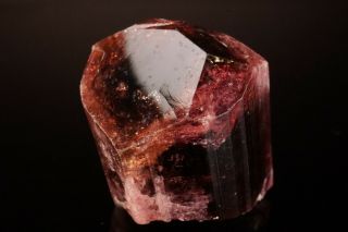 CLASSIC Rubellite Tourmaline Crystal MALKHAN,  RUSSIA 12