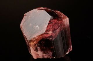 CLASSIC Rubellite Tourmaline Crystal MALKHAN,  RUSSIA 3