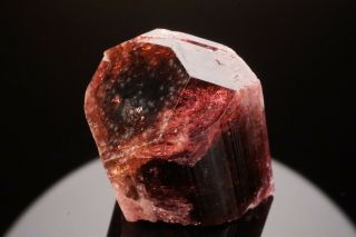 CLASSIC Rubellite Tourmaline Crystal MALKHAN,  RUSSIA 4