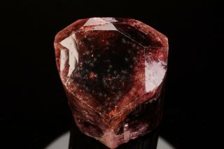 CLASSIC Rubellite Tourmaline Crystal MALKHAN,  RUSSIA 6