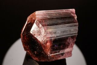CLASSIC Rubellite Tourmaline Crystal MALKHAN,  RUSSIA 9