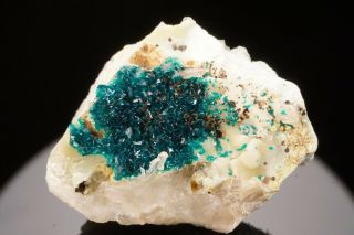 Rare Veszelyite Crystal Cluster Black Pine Mine,  Montana - Ex.  Jensen