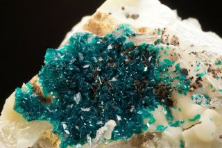 RARE Veszelyite Crystal Cluster BLACK PINE MINE,  MONTANA - Ex.  Jensen 2